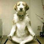 Profile Picture of Nancy Schlieder (@nl_schlieder) on Instagram