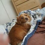 nicholas covarrubias - Instagram Profile Picture of nicholas covarrubias (@the_chosen_nut) on Instagram