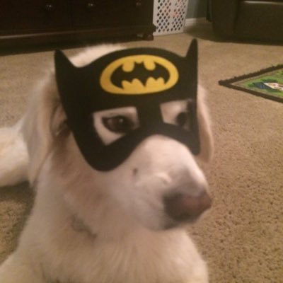 Profile Picture of Matt Preece (@BoscoPreece) on Twitter