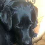 Profile Picture of Michael Schnurr (@schnurr.m) on Instagram