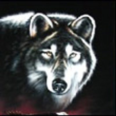 Miriam Newhouse - Twitter Profile Picture of Miriam Newhouse (@hevacuvunone) on Twitter