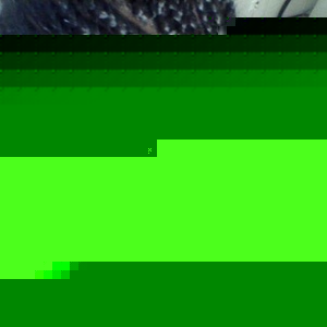 Profile Picture of Fenix Jenkins (@kidnova89) on Myspace