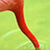 Profile Picture of Bart (@bartekbezmajtek) on Flickr