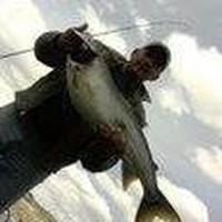 Profile Picture of Scott Calhoun (@scott-calhoun-11) on Quora