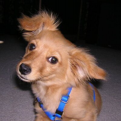 Profile Picture of Jamie Pedersen (@PBnJamie11) on Twitter