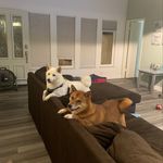 Profile Picture of Melissa Schaffer (@melissaschaffer77) on Instagram