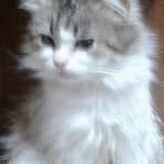 Enrico Izzo - Facebook Profile Picture of Enrico Izzo (@enrico.izzo.925) on Facebook