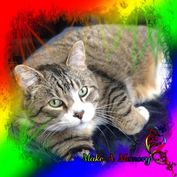 Profile Picture of Bill Bates (@bgb2118) on Poshmark