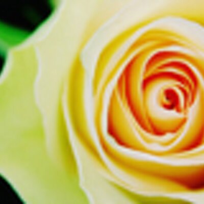 Profile Picture of Jayoung Lee (@jayounglee) on Twitter