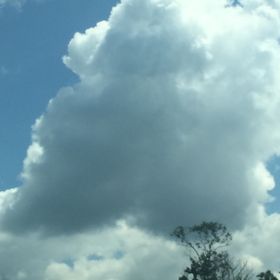 Profile Picture of Stacie Strauss (@staciecrider) on Pinterest