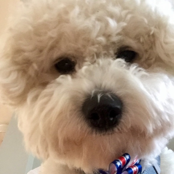 Profile Picture of Anna-carin Fernstrom (@sweettreetz) on Poshmark