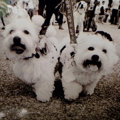 Profile Picture of JacknZoe Karnicki (@jacknzoe) on Twitter