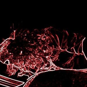 Profile Picture of Cody Joe (@327464203) on Myspace