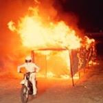 Profile Picture of Steve Angelakis (@steveangelakis) on Instagram