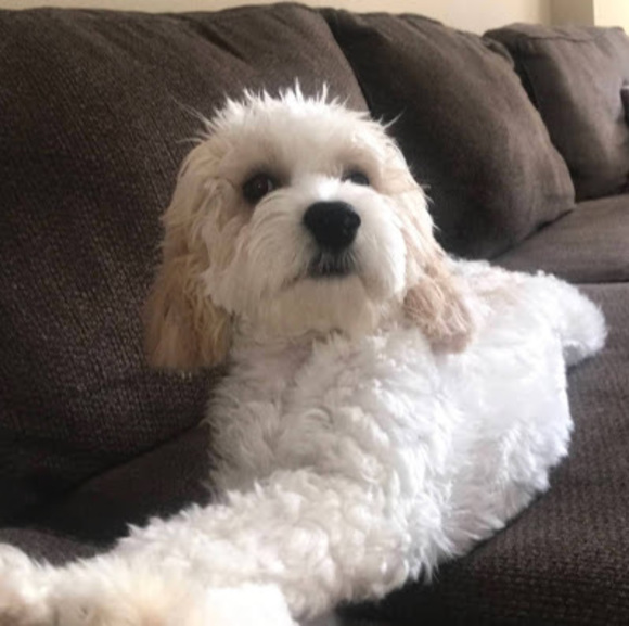 Ayten Kirkayak - Poshmark Profile Picture of Ayten Kirkayak (@kirkayakayten) on Poshmark