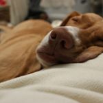 Profile Picture of Cindy Bandy (@sweetassodapop) on Instagram