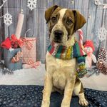 Profile Picture of Daisy Stevenson (@x.daisystevenson.x) on Instagram