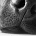 Profile Picture of David Hale (@david.hale.754703) on Facebook