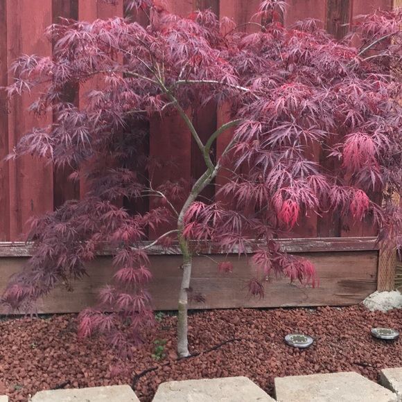 Michael Mac - Poshmark Profile Picture of Michael Mac (@michael_mac888) on Poshmark