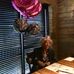 Profile Picture of Claudette Lacey (@claudette.lacey.735) on Facebook