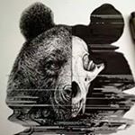 Profile Picture of Jesse Beeson (@beesonnator) on Instagram