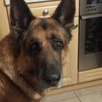 Profile Picture of Helene Kaiser (@helene.kaiser) on Instagram