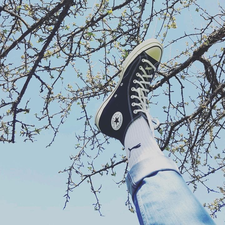 David Zgoda - Tiktok Profile Picture of David Zgoda (@@david.zgd) on Tiktok