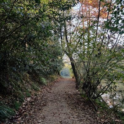 Lee Molloy - Twitter Profile Picture of Lee Molloy (@lee_molloy1) on Twitter