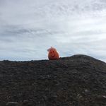 Profile Picture of Stan Phillip Shaun Johnson (@stans_life18) on Instagram