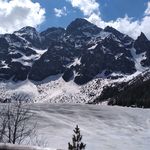 Profile Picture of Karolina Wierzbicka (@charlotte_nieve) on Instagram