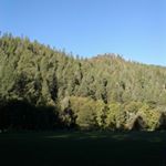 Profile Picture of James Mourning (@james.m.adot) on Instagram