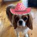 Profile Picture of Josh Day (@josh.day.127648) on Facebook
