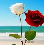 Profile Picture of Nanci Garivo (@nanci.garivo) on Facebook