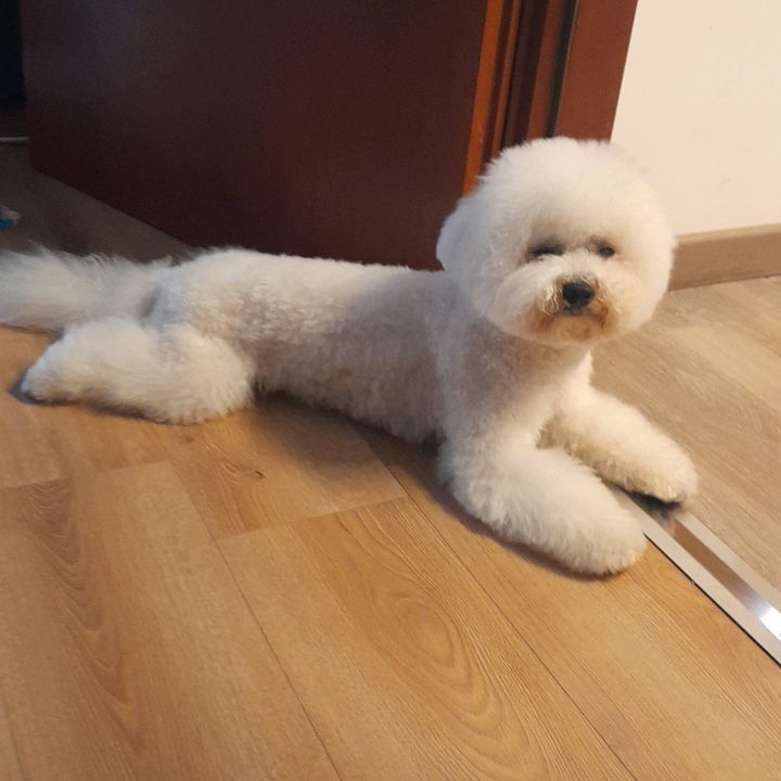 Profile Picture of luisascavone (@luisa_scavone0) on Tiktok