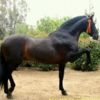 Profile Picture of Alexander Macias (@jonysolorzano) on Twitter