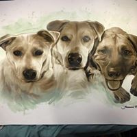 Profile Picture of Cindi Gianopoulos (@cindi-gianopoulos) on Quora