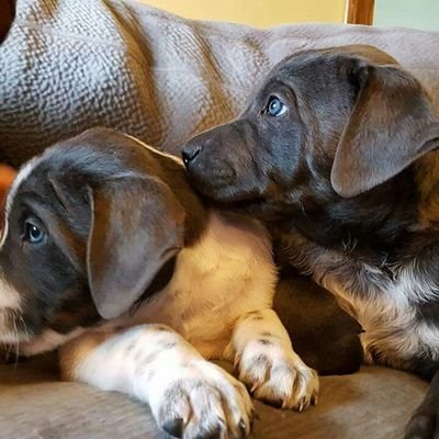 Profile Picture of Jacob Paulsen (@22jacobp22) on Twitter