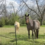 Tim Spidel - Facebook Profile Picture of Tim Spidel (@tim.spidel.7) on Facebook