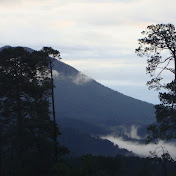 Profile Picture of Alfredo Capetillo (@alfredocapetillo7294) on Youtube