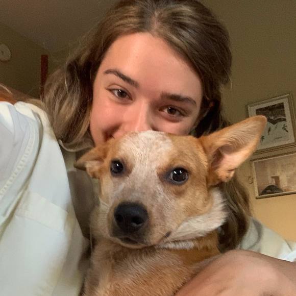 Profile Picture of Harper Vincent (@harpsical61) on Poshmark