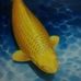 Profile Picture of Tsengchung Hsu (@tsengchung.hsu.3) on Facebook
