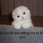 Mark Leighton - Instagram Profile Picture of Mark Leighton (@grinningsadist) on Instagram