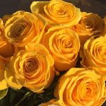 Profile Picture of mudingay (@mudjason123456) on Instagram