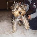 Profile Picture of Ivan Arnaez Plaza (@arnaezplaza) on Instagram