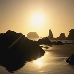 Profile Picture of Dawn (@dawnbird7) on Twitter