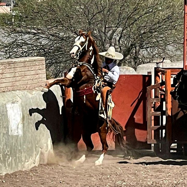 Profile Picture of Abraham (@abraham_sanchez13) on Tiktok