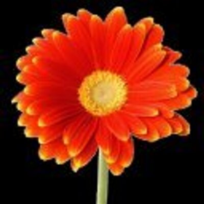 Profile Picture of Jori Nicholas (@j_a_d_n) on Twitter