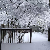 Profile Picture of George Cheng (@georgecheng1942) on Youtube