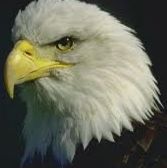 Profile Picture of Kenneth Walkingstick (@kenneth.walkingstick) on Facebook