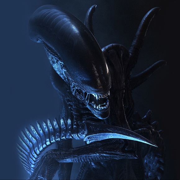 Profile Picture of Conrad Gonzalez (@conrad669) on Poshmark